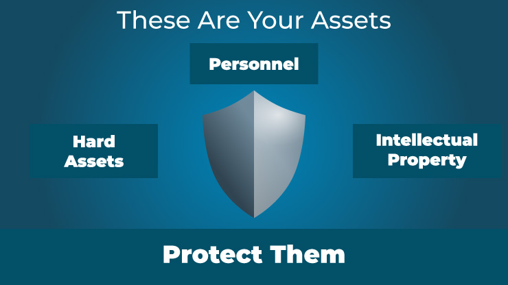 asset-protection